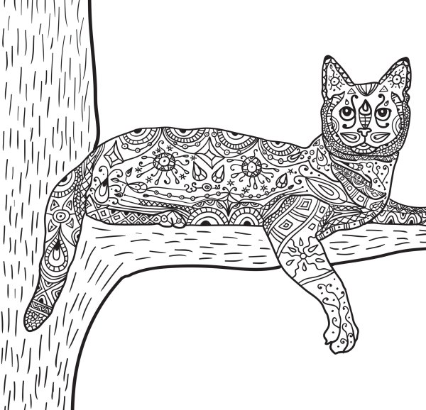 Раскраска котик на дереве