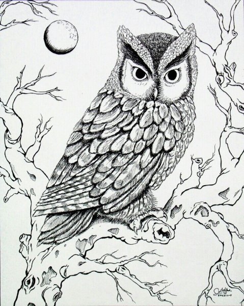 Рисунки для выжигания сложные