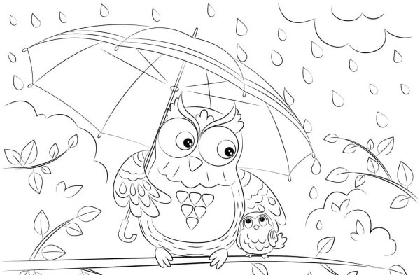 Сова и Совенок раскраска