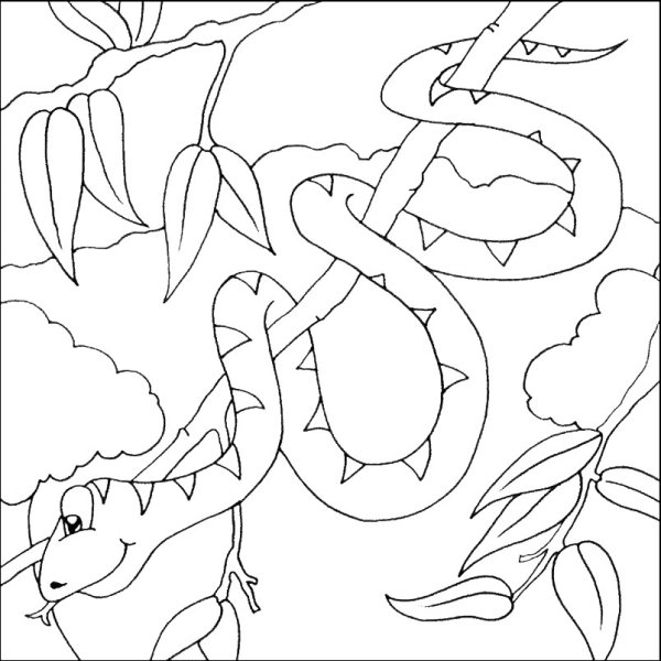 Раскраска тропические животные