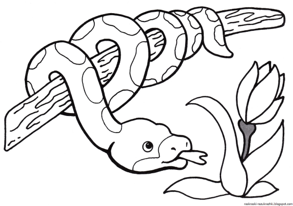 Змея раскраска для детей