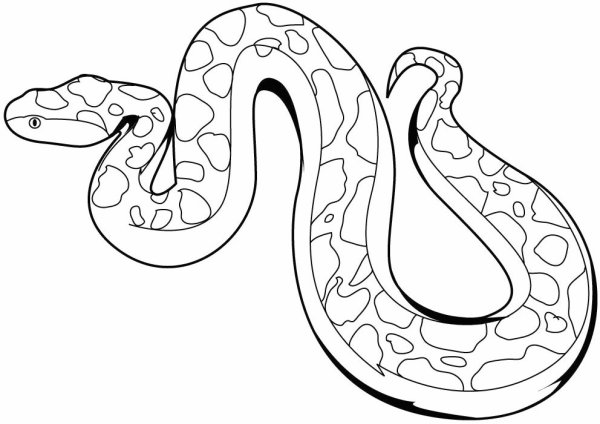 Змея раскраска