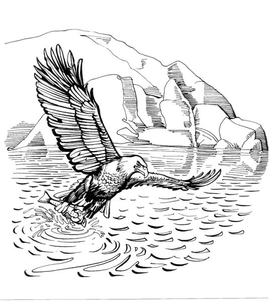 Эскизы для выжигания по дереву природа