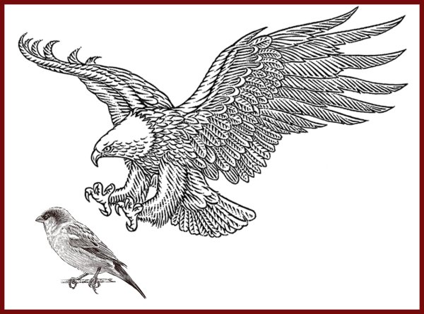 Орел Графика