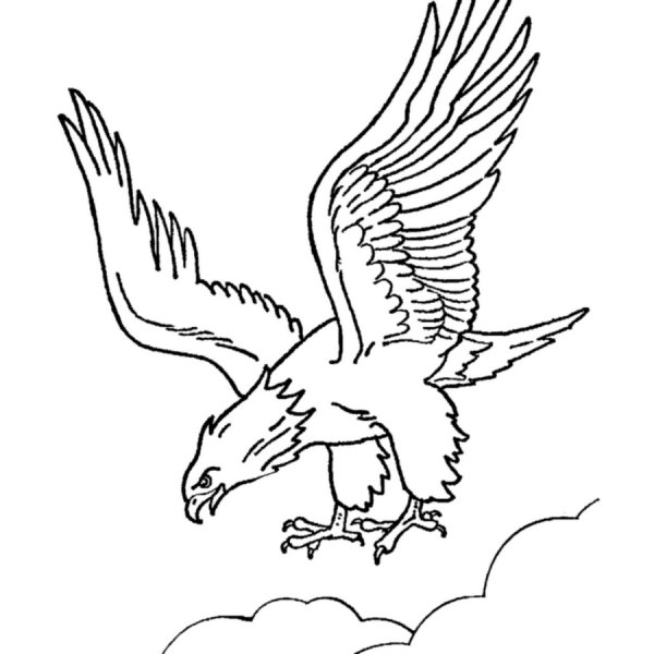 Рисунки для выжигания по дереву Орел