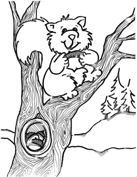 Дерево с дуплом раскраска