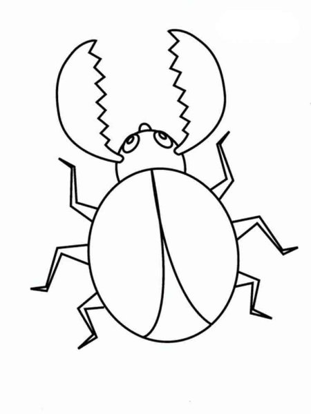Раскраски для малышей насекомые