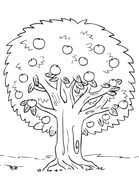 Дерево раскраска для детей