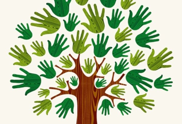 Ладонь из дерева