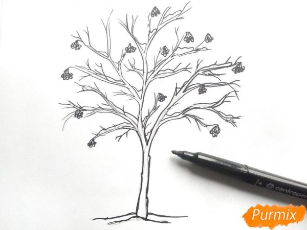 Рисование дерева рябины