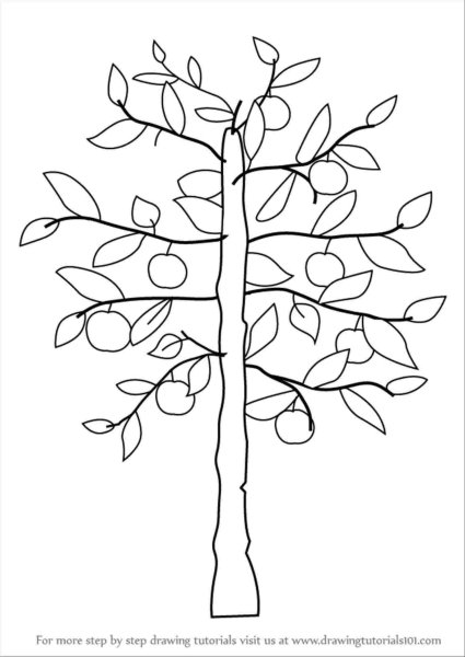 Береза раскраска для детей