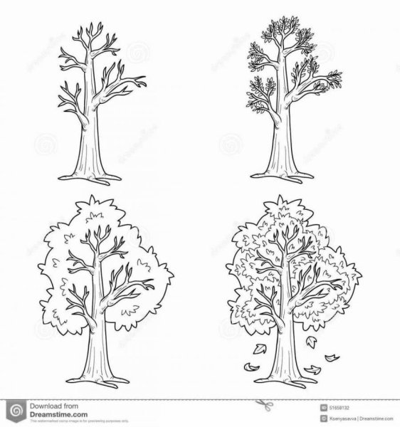Раскрасить деревья по временам года