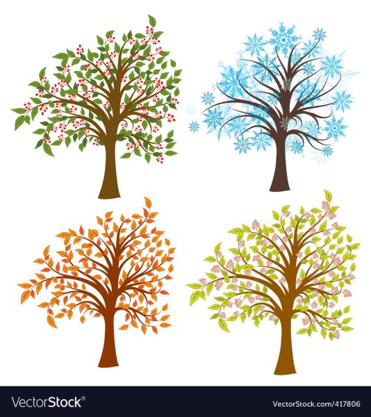 Дерево четыре сезона вектор