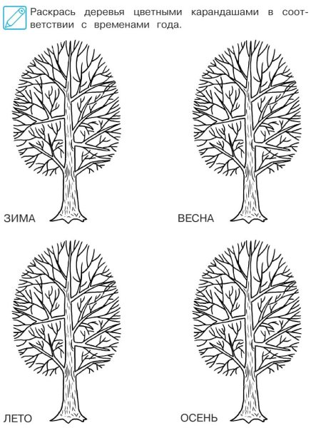 Раскрасить деревья по временам года