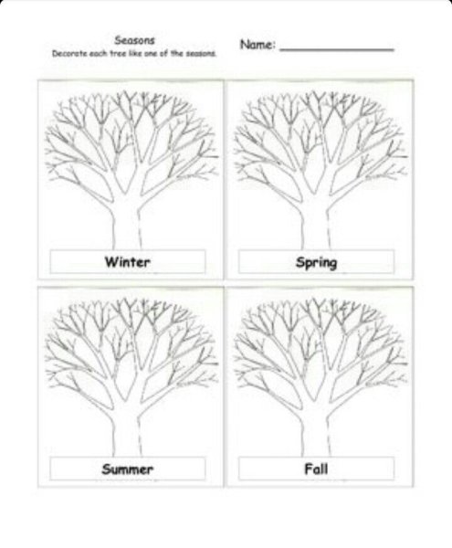 Деревья по временам года задание для детей