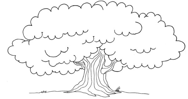Большое дерево раскраска