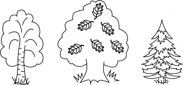 Лиственные деревья задания для дошкольников