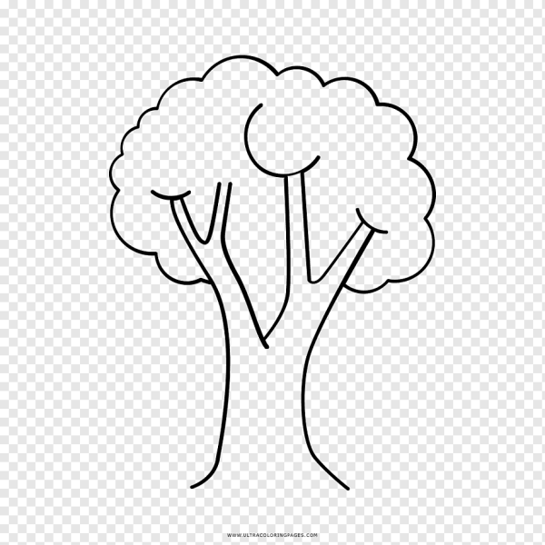 Дерево черно белое для детей