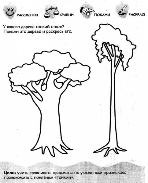 Толстый тонкий задания для дошкольников