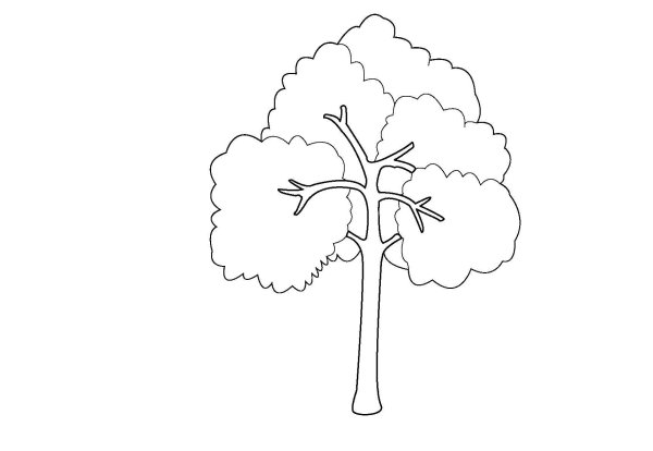 Дерево раскраска для детей
