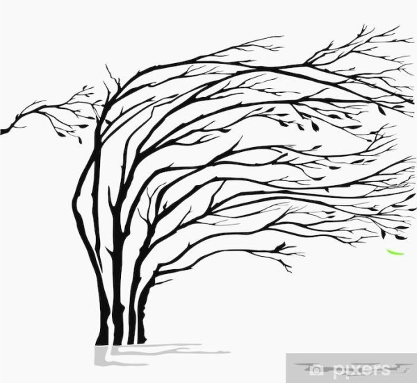 Рисование дерево на ветру