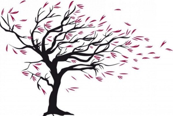 Дерево на ветру силуэт