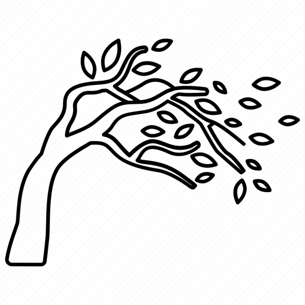 Дерево без ветра