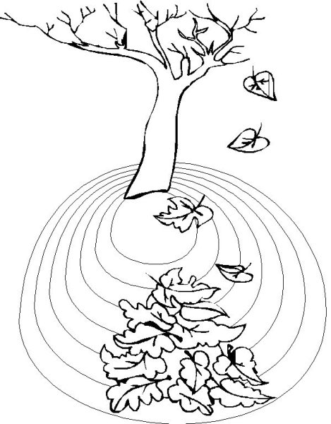 Деревья осенью раскраска для дошкольников
