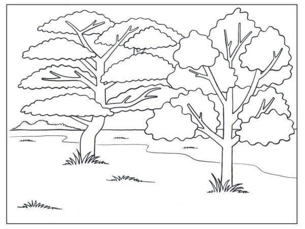 Зимнее дерево раскраска природа