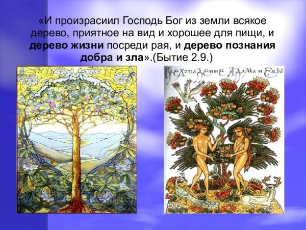 Символ - Древо познания добра и зла