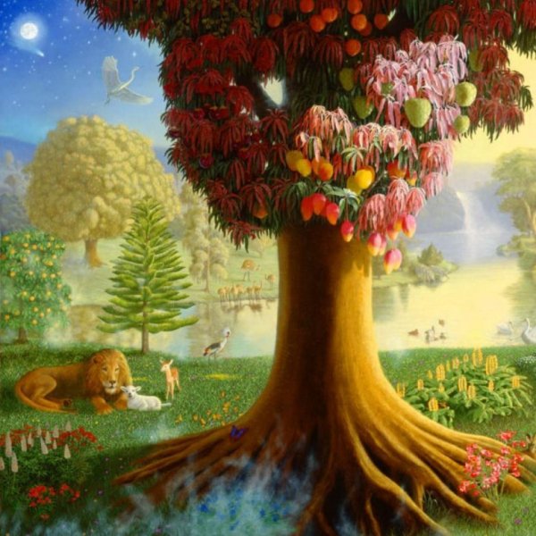 Древо познания картинки