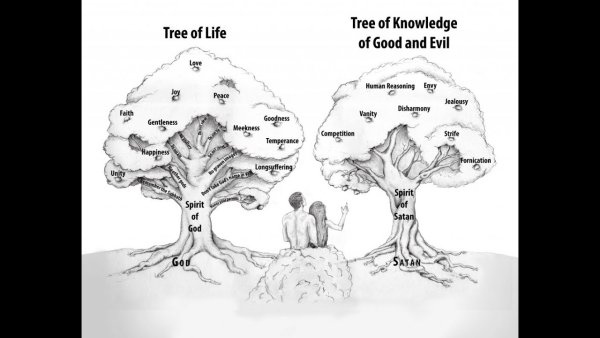 Макет дерева познания добра и зла