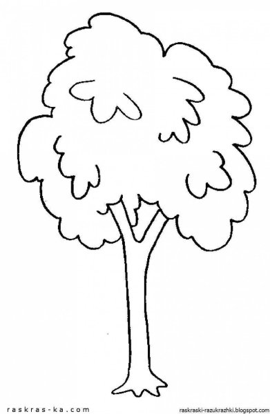 Дерево раскраска