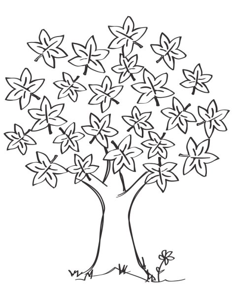 Осеннее дерево раскраска