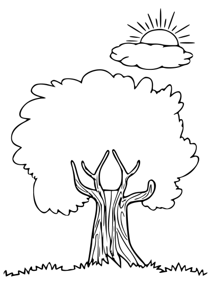 Раскраска дерево дуб без листьев
