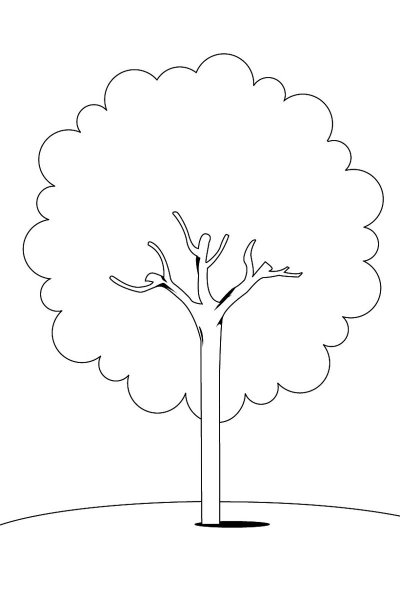 Дерево раскраска