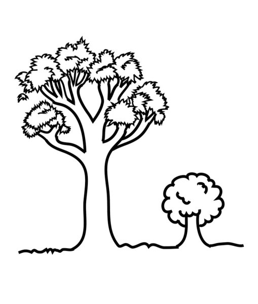 Дерево раскраска