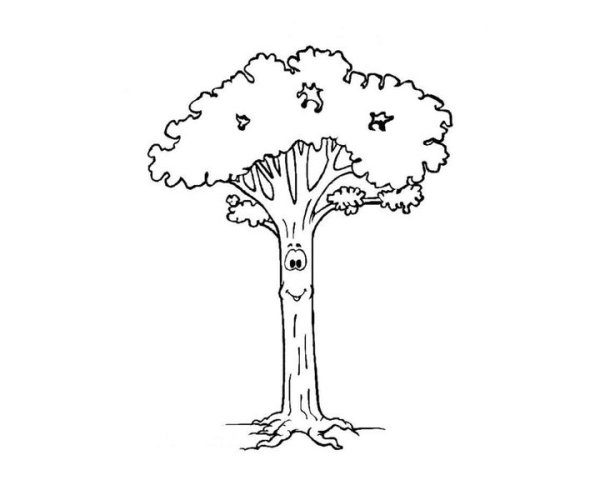 Строение дерева задания для детей