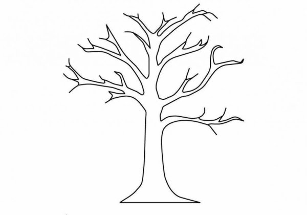 Дерево без листьев