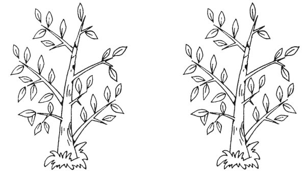 Дерево раскраска