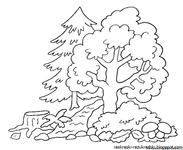 Раскраска леса для детей
