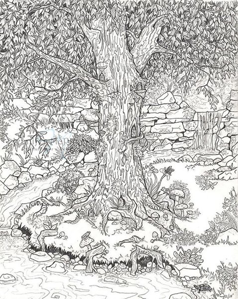 Раскраски для взрослых природа