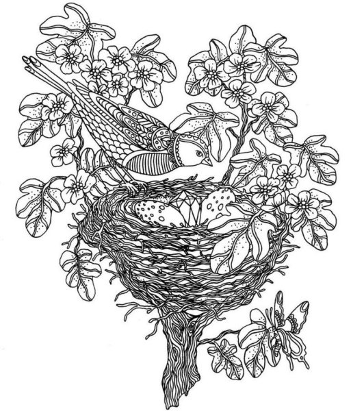 Раскраски антистресс птицы