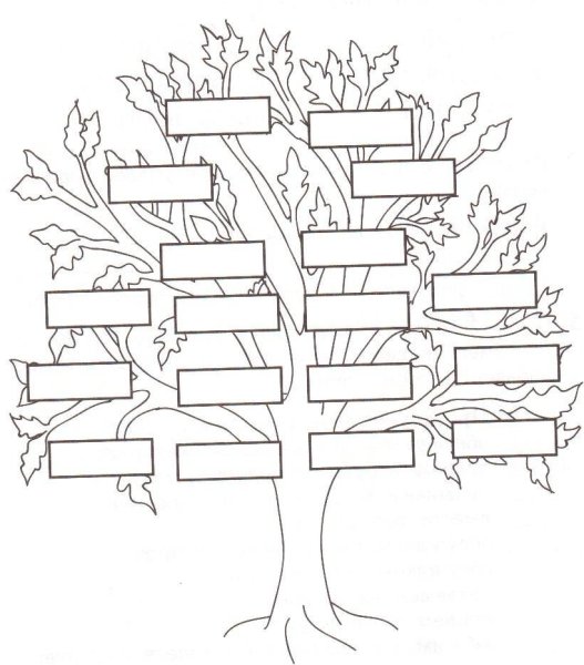 Родословное Древо раскраска