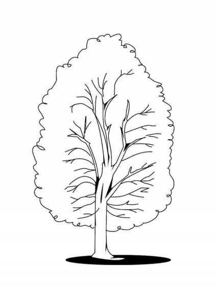 Дерево раскраска для детей