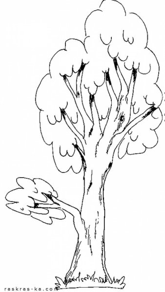Дерево раскраска для детей