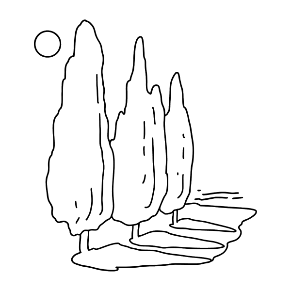 Тополь раскраска