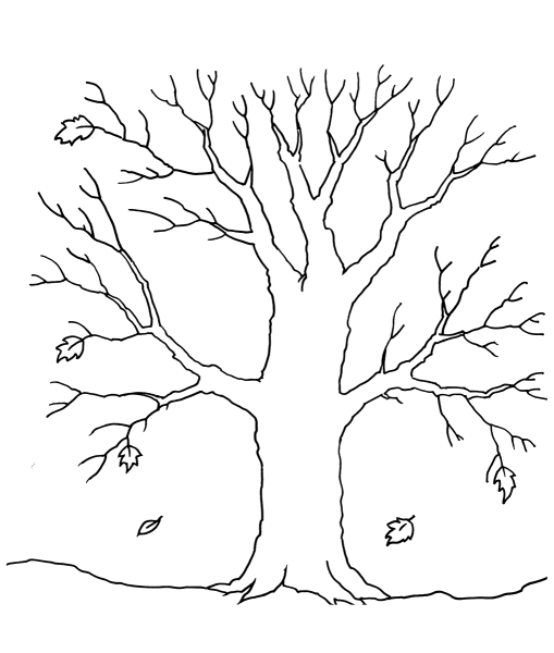 Осеннее дерево раскраска для детей