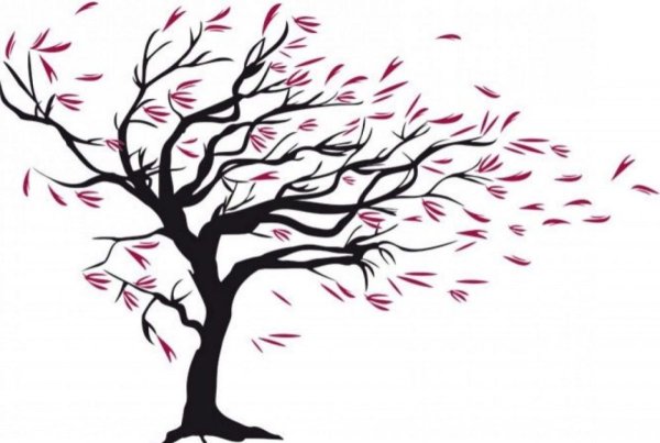 Дерево на ветру