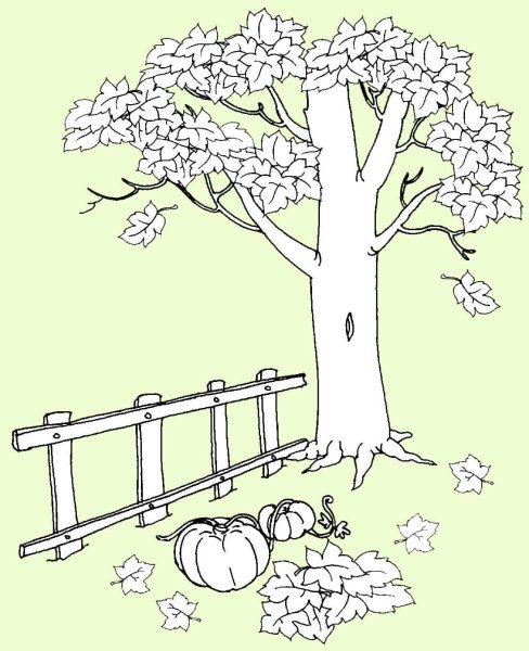 Картина с забором для срисовки